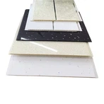 PVC İç Tavan Paneli